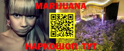 крисы Гусиноозёрск