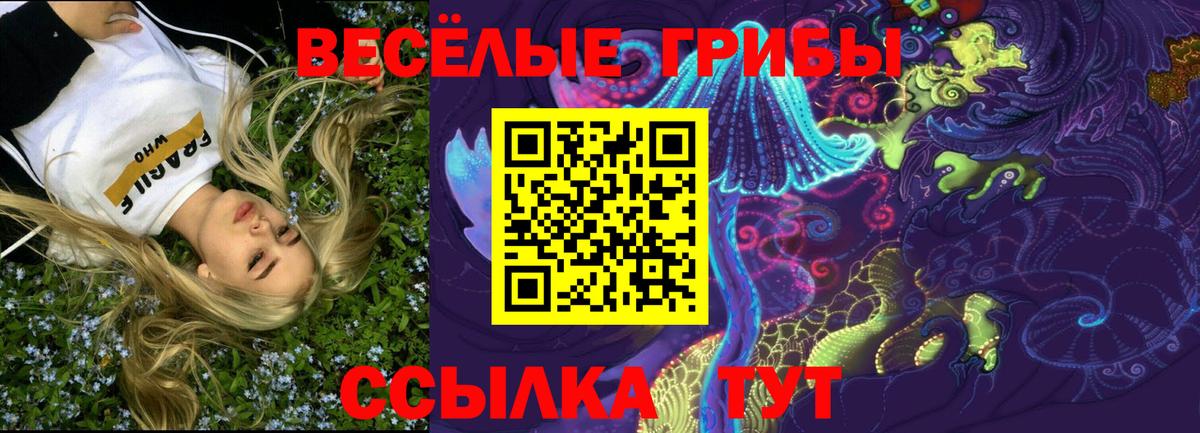 Галлюциногенные грибы мухоморы  Псилоцибиновые грибы мухоморы  наркошоп  Вход с VPN  Можга 